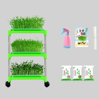 中国 防蝕家族のための屋内PPの水耕栽培実生植物の皿の立場 販売のため