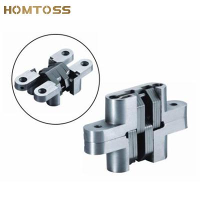 China 19X95X13mm Modern Zinc Alloy AG011 Concealed Spring Concealed Door Hinge for sale