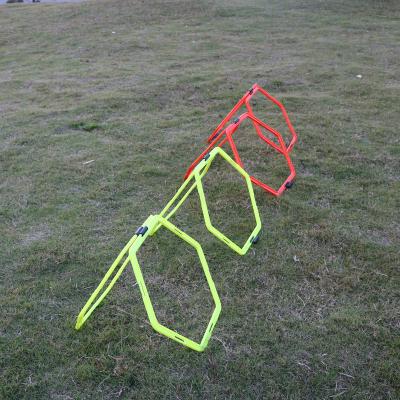 China ADJUSTABLE 40cm Rung Speed Circles Ladder Hex Racks Agility Rings 40cm Diameter Speed Rings Hexagon Rings for sale