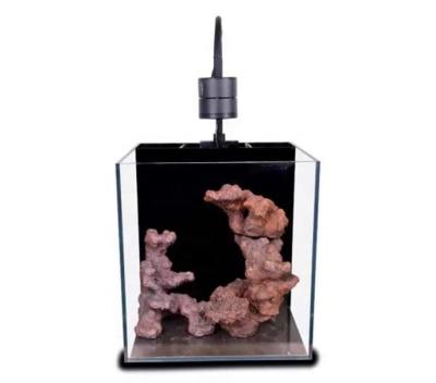 China Sustainable New Design Customized Sizes Marine Aquarium Glass Tank Sets With Back Filter for sale