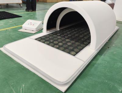 China Laag EMF Commercieel thuisgebruik Ver infrarood Sauna Dome voor huidversterking Whitening Detox Gewicht pijnverlichting Te koop