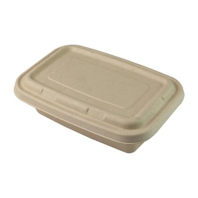 Chine Rectangle biodégradable jetable d'ensemble de conteneur de nourriture de bagasse de canne à sucre à vendre