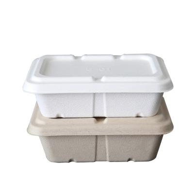 Chine Conteneur de nourriture de empaquetage de pulpe compostable biodégradable de bagasse de l'usine 100% à vendre