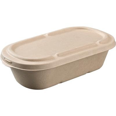 Chine Le fruit de salade de bagasse de canne à sucre emportent des conteneurs de nourriture biodégradables à vendre