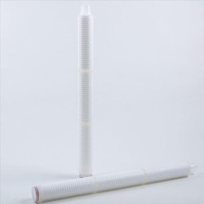 Chine 0Cartouche de filtre pharmaceutique à membrane PES de.22 μm 30