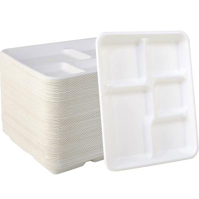 China Biodegradable Sugarcane Dishes 125 Pack Disposable Food Tray with 5 Compartment Heavy Duty Biodegradable Sugarcane Plates Eco-Friendly School Lunch Trays for sale