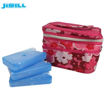 China CPSIA Reusable Fan Ice Pack Strong Sealing For Picnic And BBQ Outside For Food Frozen for sale