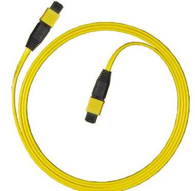 Chine Fibre Patchcord optique de MPO MTP à vendre