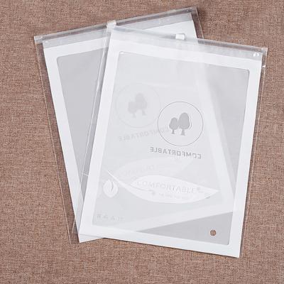 China Security Logo Printing Slide Matte Custom/Poly Apparel Biodegradable Clear T-shirt Bag Plastic Zipper Frosted Zipper Bag With Own Logo for sale