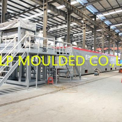 Cina Macchina per la formazione di scatole di uova completamente automatica in vendita