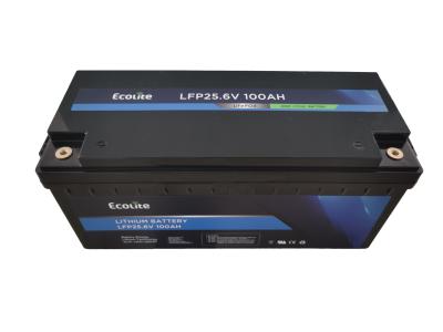 중국 25.6V 100Ah LiFePO4 배터리 재충전 리?? 배터리 BMS 내장형 RV 보트 야외 캠핑 사용자 지정 판매용