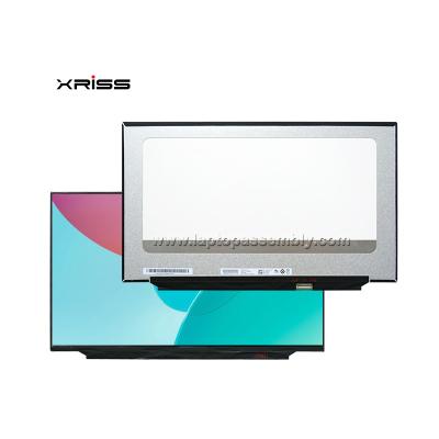 Cina B173HAN04.2 NV173FHM-N4C NV173FHM-N46 IPS FHD Pannello di visualizzazione LCD 17.3 EDP 30pin in vendita