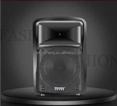 China 6 inch PORTABLE PA TROLLEY wirelessDJ rechargeable powered portable speaker with BT for karaoke temeisheng for sale
