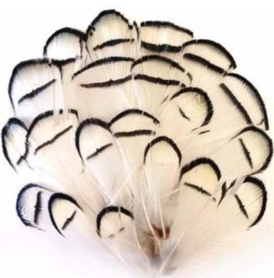 China Whole decorations sale supplier of the nice feather for decoration for sale