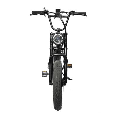 China Aluminum Alloy 7 Speed Electric Mountain Bike/Frame Ervebo 500w 48V 10Ah Aluminum Electric Bicycle,20