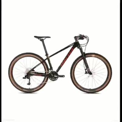 China Storm 2.0 SX 12 Strong And Light High End Speed 29 Inch Hydraulic Fiber Disc Brake Ultralight Carbon Mountain Bike for sale