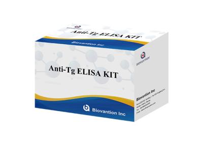 China Teste do anticorpo do Thyroglobulin de BIOVANTION jogo do teste do Tg Ab do anti anti à venda