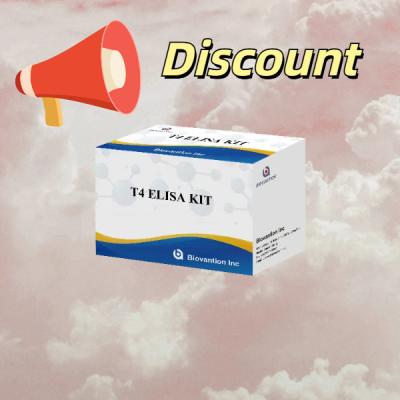 China Teste de hormônio tireoidiano T4 Triiodotironina ELISA à venda