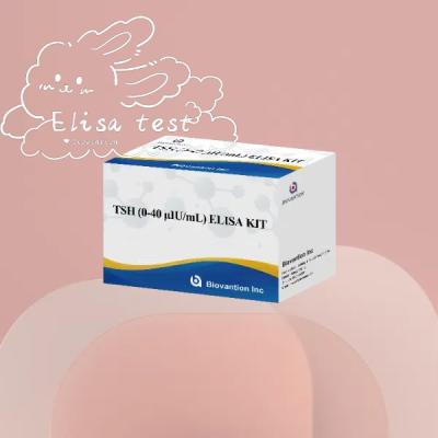 China TSH Elisa Reagente Kit Sero Estimulante da tireóide Determinação quantitativa à venda