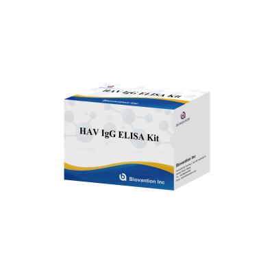 Κίνα Υψηλή ευαισθησία HAV IgG ELISA Kit ακριβής ανίχνευση ιού ηπατίτιδας Α αξιόπιστη πιστοποίηση CE για κλινική και ερευνητική χρήση προς πώληση