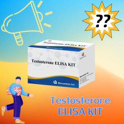 China Kit de ensaio Elisa de testosterona de alto desempenho para quantificação precisa de biomarcadores à venda