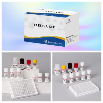 Cina Kit di prova T3 Elisa personalizzabile per la quantificazione accurata e dei biomarcatori in vendita