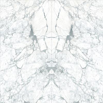 China Large Format Modern Thin Panel Sintered Stone Facade 3200x1600x6/12mm Porcelain Building Slabs for sale