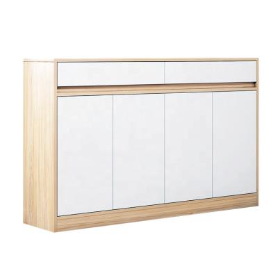 China Modern Modern Furniture Metal Living Room Steel Shoe Storage Cabinet for sale
