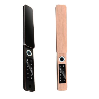 Cina 2022 New Gate Waterproof Fingerprint Code Aluminum Door Lock For Outdoor With App Remote in vendita