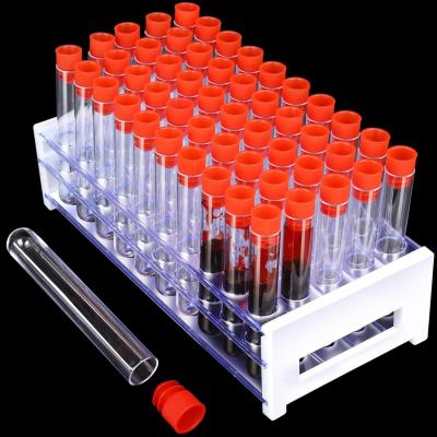 Chine Clear Plastic Test Tubes With Caps And Holder Rack For Nurse Party Decorations Halloween Party Favors à vendre