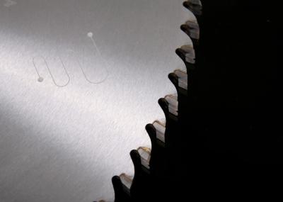 China 450 mm SKS Japón acero con tabla de consejos de Ceratizit alternativo TCT Sierra Circular en venta