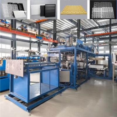 China Fully automatic Seedling Tray Plastic Thermoforming Machine for sale