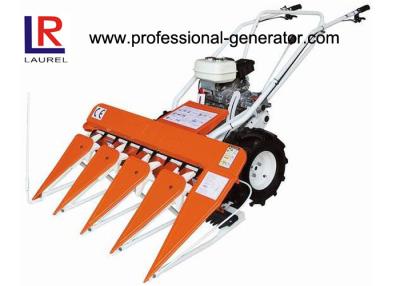 중국 4.2HP ~ 5.5HP 디젤 잔디 수확기 120cm 절단 폭의 소형 수확기 판매용