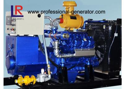 China Water Cooled 100kw Biogas Generator with CE , Electric Control Ignition V Type for sale