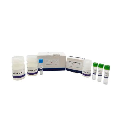 Chine Kit direct d'ACP d'usine de la CE d'OIN 500×20ul Rxns pour des usines de polyphénol de polysaccharide à vendre