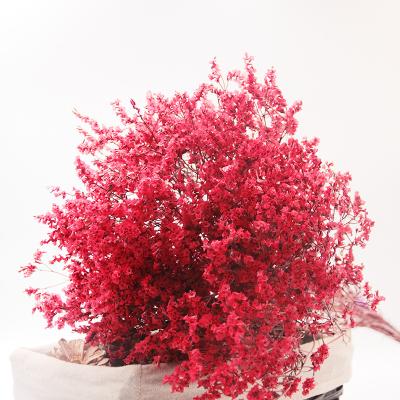 China Yunnan Durable High Quality Home Decoration Preserved Crystal Grass For Mother's Day for sale
