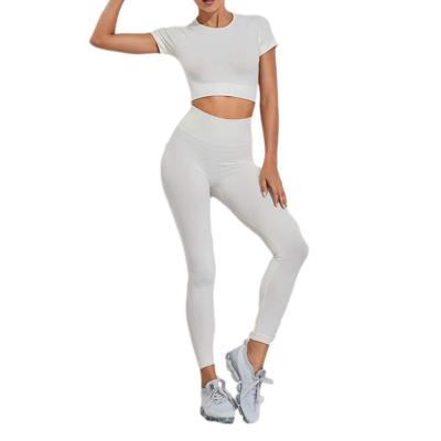 China Breathable Women Seamless Activewear 2 Piece Set Leggings Crop Top Sport Wear Women Set for sale