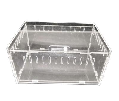 China Display Spring Sign Snake Acrylic Reptile Pet Climbing Display Cases for sale