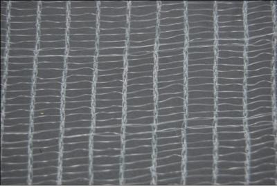 Китай Плетение насекомого HDPE связанное Raschel анти-, анти- плетение фруктовой мухи для урожая продается
