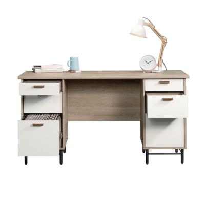China (Size) 55 Large Adjustable Computer Desk with Hutch Modern Writing Desk with Shelf PC Laptop Study Table Workstation for Home for sale
