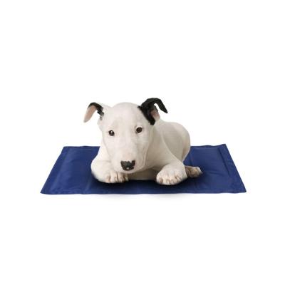 China Travel non-slip pet cooling mat for safe placement for sale