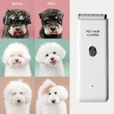 China Viable Low Noise Rechargeable Cordless Led Electric Dog Hair Trimmer Pet Hair Clipper Usb Set China for sale