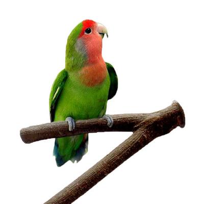 China Viable Bird Toys For Parrot Fork Tree Branch Holder Raw Wooden Hamster Branch Perches For Bird Cage for sale