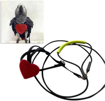 China Viable Bird Harness - Adjustable Parrot Leash Bird Leash Parrot Pets Training Outdoor Fly Rope for Small Medium Birds - Size XS S M for sale