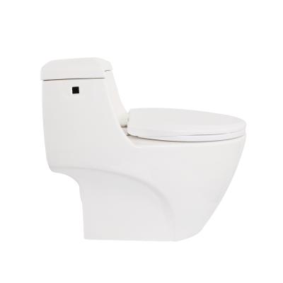 China Double-Flow Factory Wholesale Multiple Color Customizable One Piece Toilet Bowl for sale