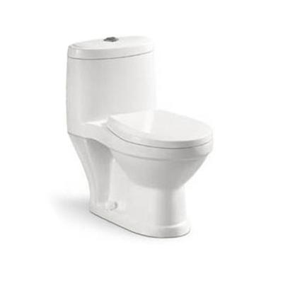 China Double-Flow New Arrival Modern Western Children's Toilet for sale