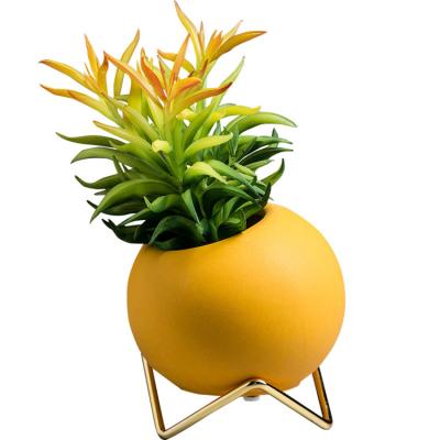 China Durable Korean Bulk Wholesale Planter Mini Cute Succulent Gold Small Flower Pot Ceramic Pot For Succulent Plants for sale