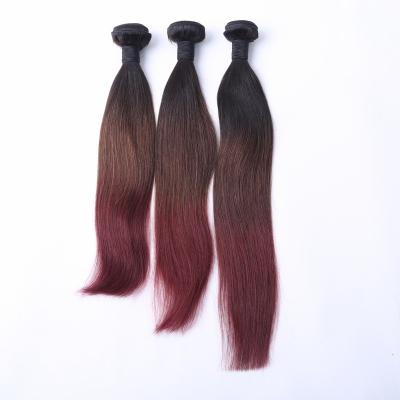 China 2017 Fashion 8A Grade Thick Hair Ombre 3 Color Silky Straight Brazilian Remy Hair Bundles for sale