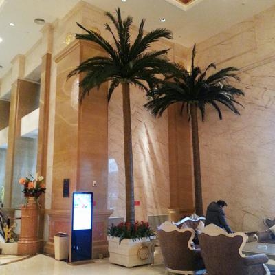 China Environmental Friendly Hotel Lobby Custom Artificial Big Plant Plastic Decorative Palm Tree For Sale for sale