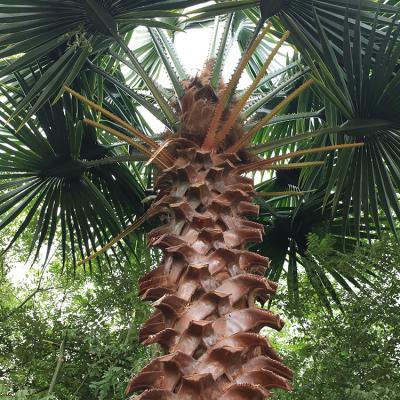 China 4m Tall Washingtonia Environment Friendly Antifading Decorative Landscaping Outdoor Palm Tree For Street Decoration for sale